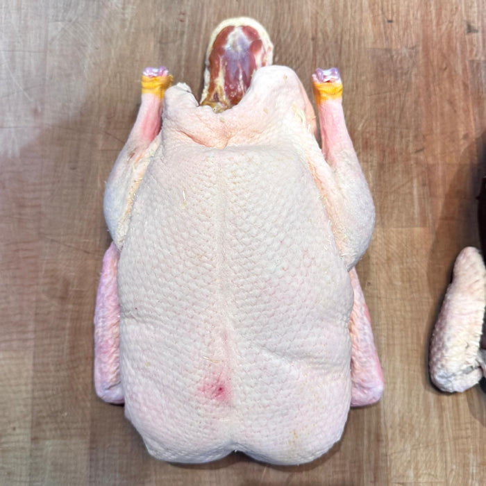 Pasture Raised Roasting Duck | Sladesdown Farm