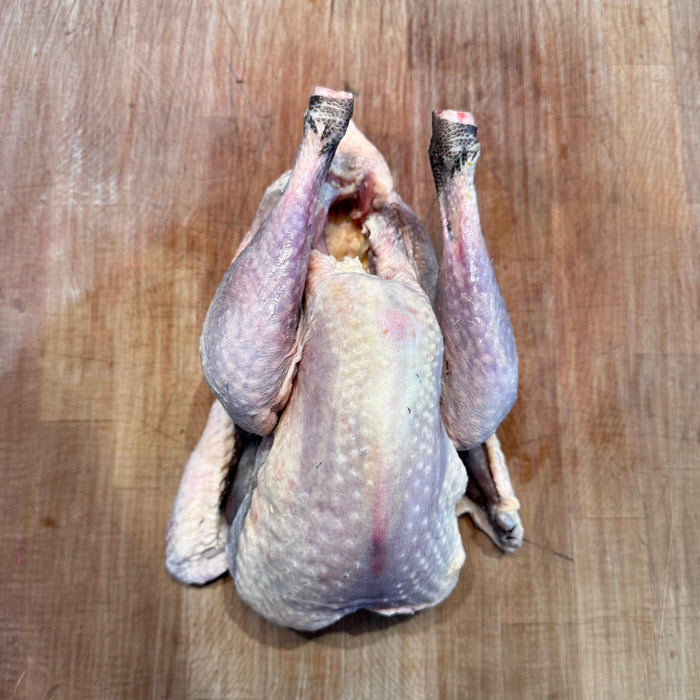 Pasture Raised Guinea Fowl | Sladesdown Farm