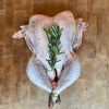 Free Range Bronze Turkey | Provenance Village Butcher | Thanksgiving